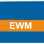 SAP EWM Online Access