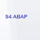 SAP SAP S4HANA ABAP Online Access