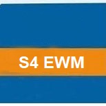 SAP S4HANA EWM Online Access